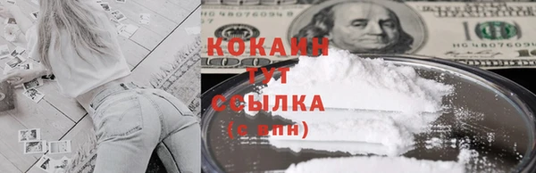 бошки Лагань
