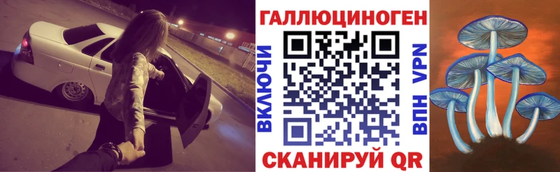 Галлюциногенные грибы GOLDEN TEACHER  Купить закладки  Киреевск 